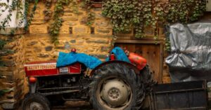 Gardening Puns: A Green Thumb's Humor